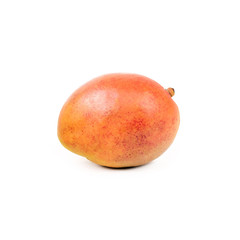 Mango fruit