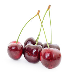 Sweet Cherries