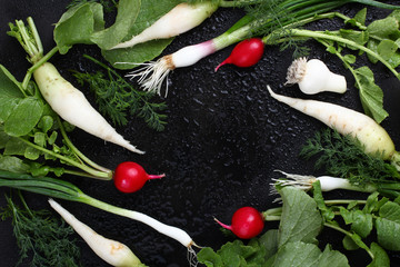 Onions, red radishes, fennel, long white radish on a isolated black background