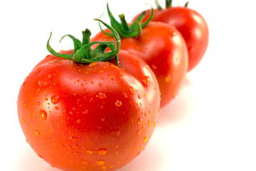 tomatoes on a white background