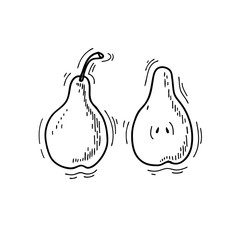 Vector pear