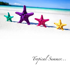 Fototapeta na wymiar Color starfishes on sandy beach