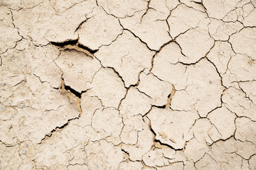 parched earth background