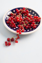 currants