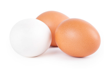 Three eggs on white background