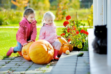 Fototapeta premium Two little sisters and some huge pumpkins