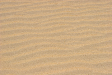 Sand Waves