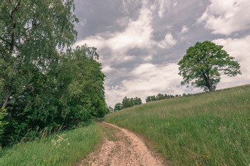 Fototapeta na wymiar Romantischer Waldweg