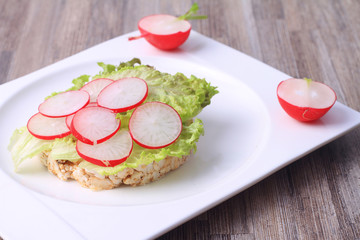 Diet sandwich with salad and radish