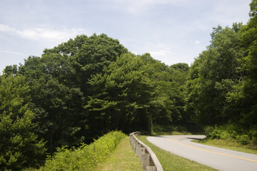 Summer on the Parkway