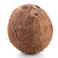 Coconut