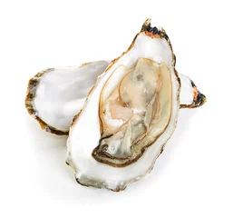 Foto auf Acrylglas Meeresfrüchte Austern isoliert auf weißem Hintergrund