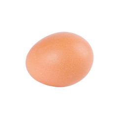 Egg on white background