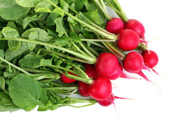 Beautiful red radishes on a isolated white background