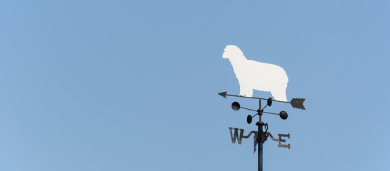 white sheep rooster weather vane