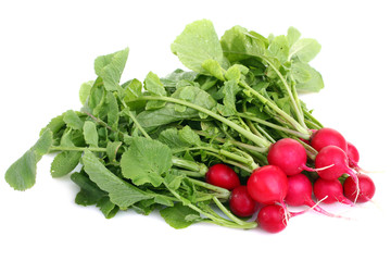 Beautiful red radishes on a isolated white background