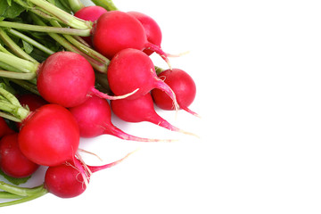 Beautiful red radishes on a isolated white background
