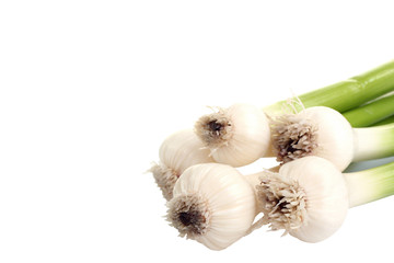 Five onions on a isolated white background