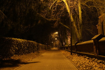 Jesień w parku nocą © endersona