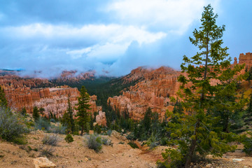 Bryce Canyon on a rainy day landscape