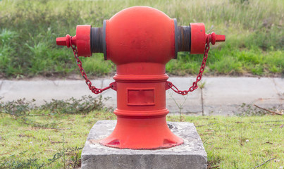 Red Fire Hydrant on City Roadside