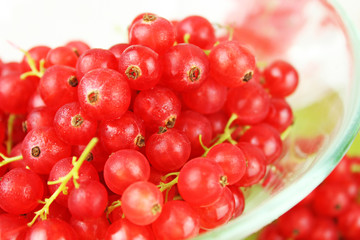 Johannisbeeren in Glasschale auf Esstisch