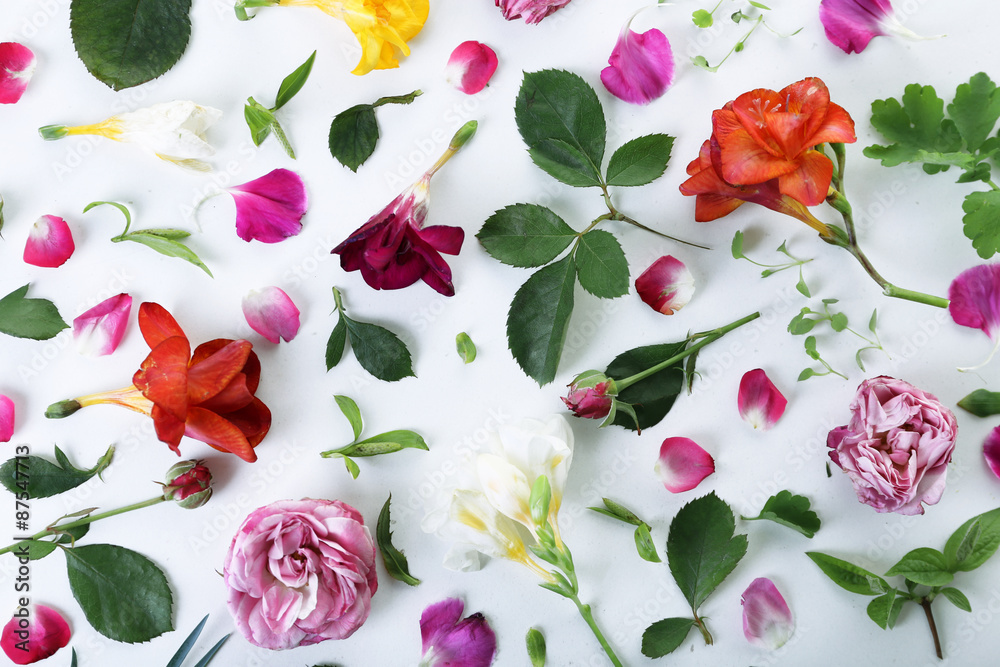 Sticker leaves and petals of spring flowers on white background, closeup