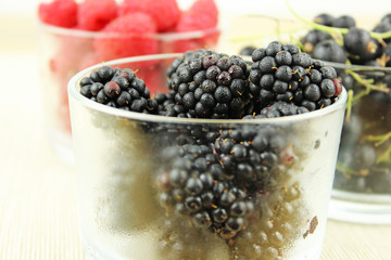 Waldbeeren - Himbeeren, Brombeeren und Johannisbeeren