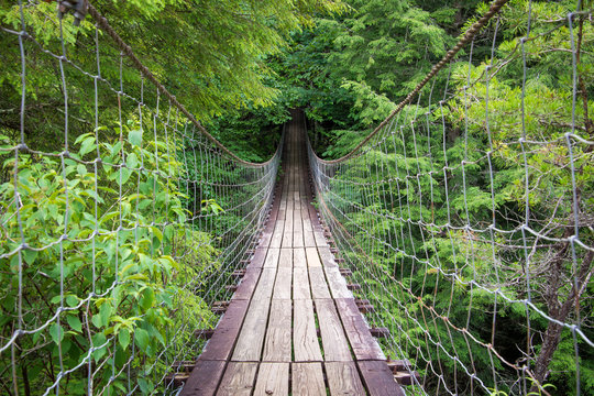 Fototapeta The Bridge