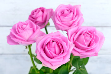 Beautiful pink roses, closeup