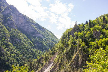 Naklejka premium Caucasian mountains covered with forests.