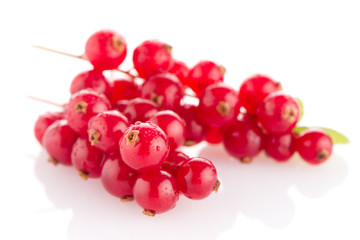 Red Currants close up on white background.