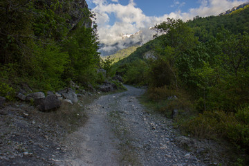 Mountain road in the mountains