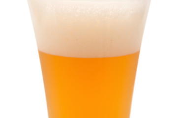 glass of beer in cup close up with clipping path
