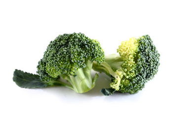 broccoli on white background