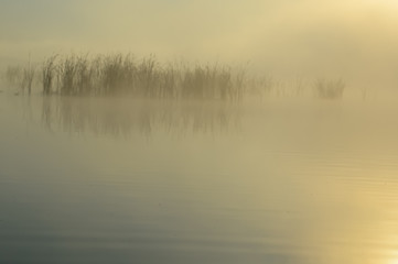 the lake landscape mist morning nature journey the water is calm and peace