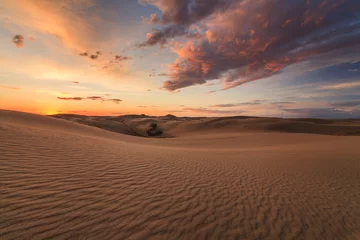 Wandaufkleber Beautiful views of the Gobi desert. Mongolia. © Anton Petrus