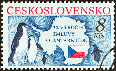 Obraz premium Bearded Penguins, Map and Flag (Czechoslovakia 1991)