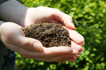 Handful of black soil over green grass background