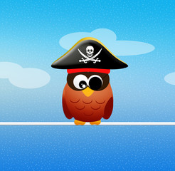 pirate owl