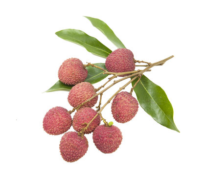 fresh lychees on white background