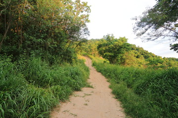 Obraz premium The off road