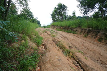 Obraz premium The off road