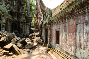 Ta Prohm