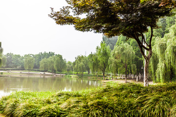 Park in Jiangyin