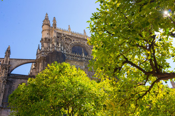 Fototapeta premium Details of the facade of the cathedral of Santa Maria La Giralda