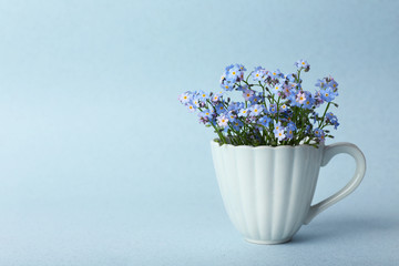 Forget-me-nots flowers in cup, on blue background