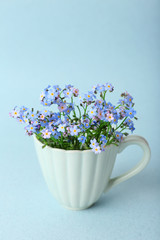 Forget-me-nots flowers in cup, on blue background