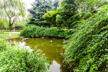 Obraz premium Park in Jiangyin