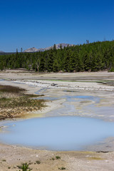 The Norris Geyser Basin in Yellowstone National Park USA